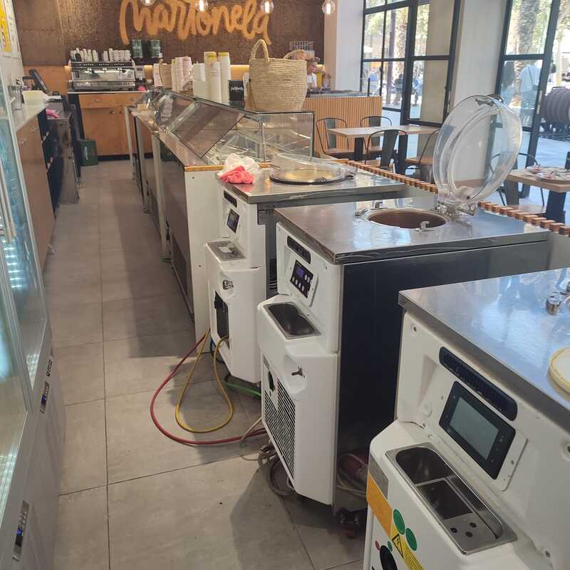 Revisión equipos Gelo Standard